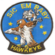 Illustration for article titled Show Us The Coolest Naval Aviation Patches Of All Time